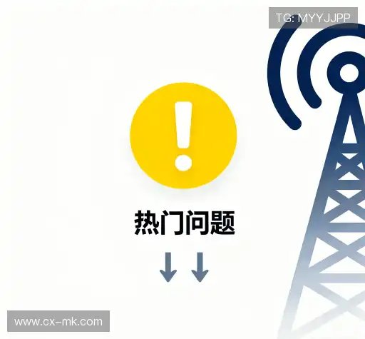 常见问题集